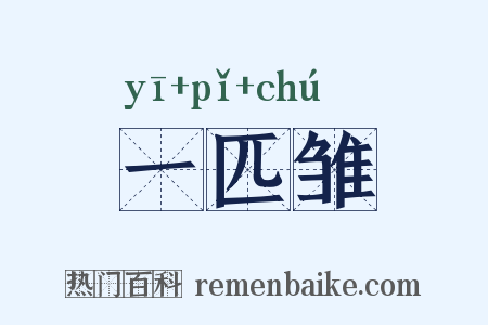 一匹雏是什么意思的图片